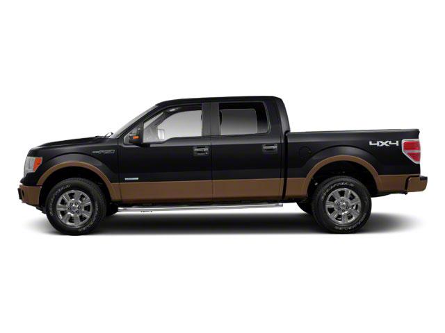 2011 Ford F-150 Vehicle Photo in Pinellas Park , FL 33781