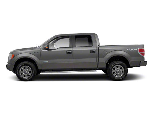 2011 Ford F-150 Vehicle Photo in BOONVILLE, IN 47601-9633