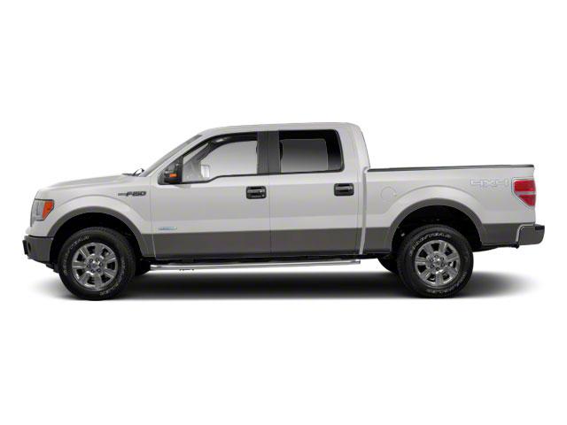 2011 Ford F-150 Vehicle Photo in Panama City, FL 32401