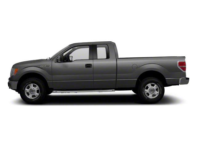 2011 Ford F-150 Vehicle Photo in GLENWOOD, MN 56334-1123