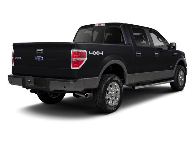 2012 Ford F-150 Vehicle Photo in CORPUS CHRISTI, TX 78416-1100