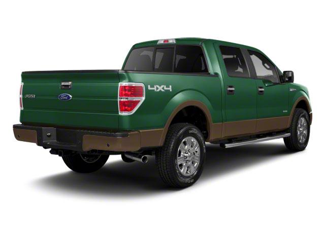 2012 Ford F-150 Vehicle Photo in Panama City, FL 32401