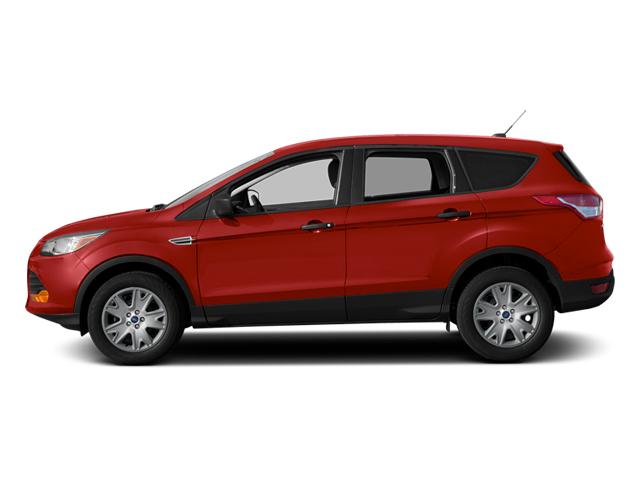 2013 Ford Escape Vehicle Photo in Margate, FL 33063