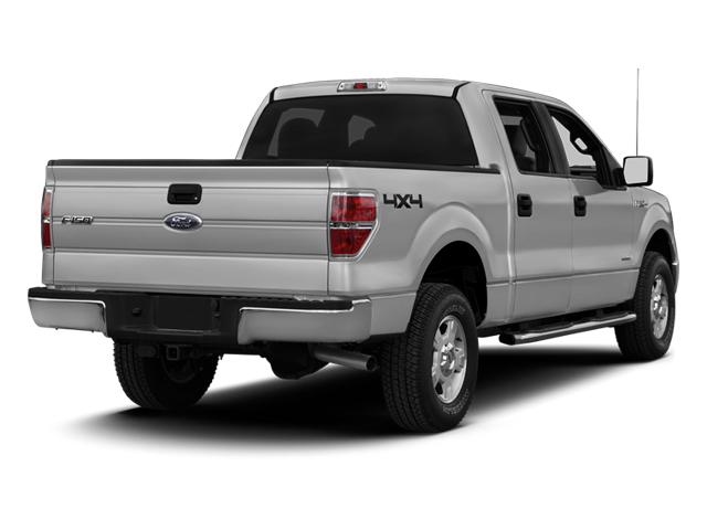 2013 Ford F-150 Vehicle Photo in Jacksonville, FL 32256