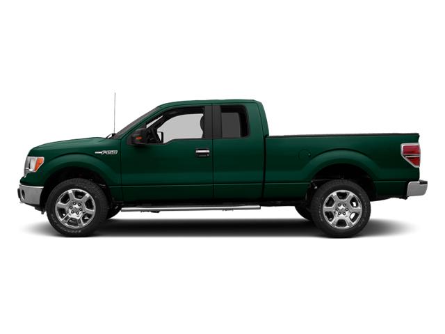 Used 2013 Ford F-150 XLT with VIN 1FTFX1EF7DFB96739 for sale in Atwater, MN