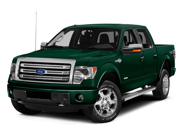 2013 Ford F-150 Vehicle Photo in Jacksonville, FL 32256