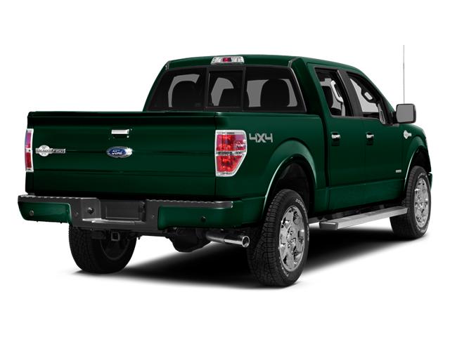 2013 Ford F-150 Vehicle Photo in Jacksonville, FL 32256