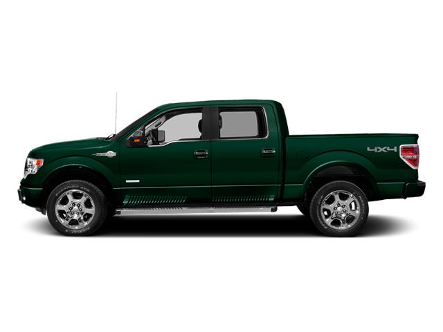 2013 Ford F-150 Vehicle Photo in Jacksonville, FL 32256