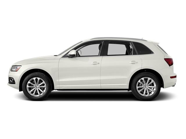 2014 Audi Q5 Vehicle Photo in Clearwater, FL 33765