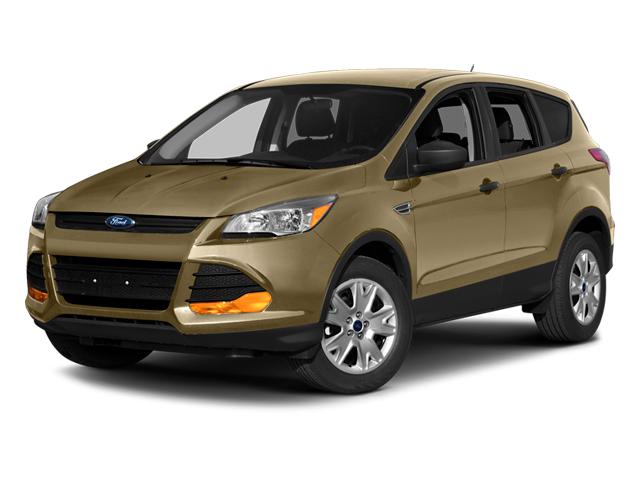 2014 Ford Escape Vehicle Photo in Oshkosh, WI 54904