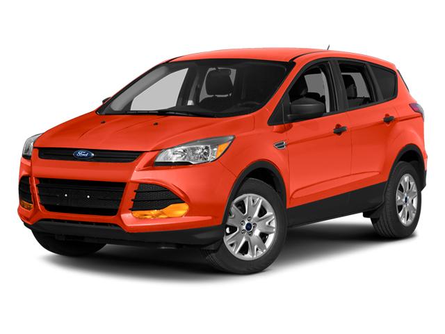 2014 Ford Escape Vehicle Photo in Plainfield, IL 60586