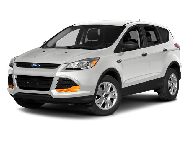 2014 Ford Escape Vehicle Photo in GOLDEN, CO 80401-3850