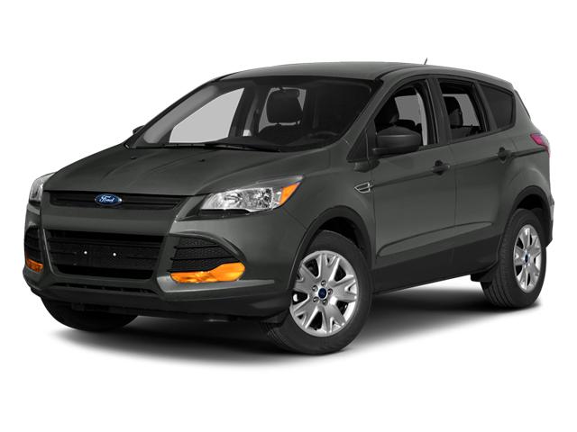 2014 Ford Escape Vehicle Photo in Saint Charles, IL 60174
