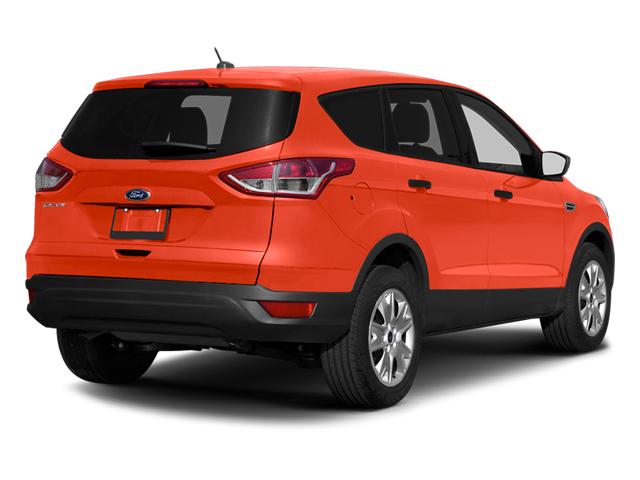 2014 Ford Escape Vehicle Photo in Plainfield, IL 60586