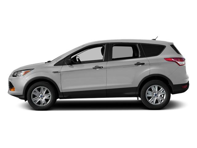 2014 Ford Escape Vehicle Photo in Saint Charles, IL 60174