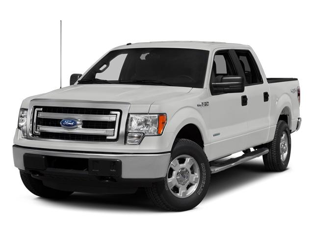 2014 Ford F-150 Vehicle Photo in PAMPA, TX 79065-5201