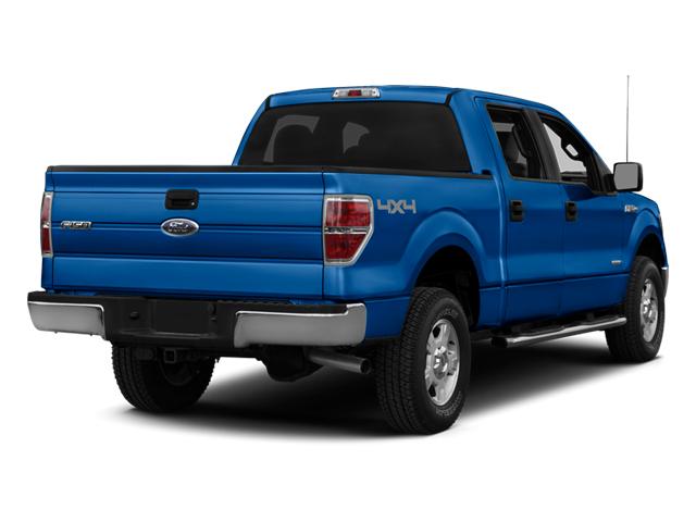 2014 Ford F-150 Vehicle Photo in Jacksonville, FL 32256