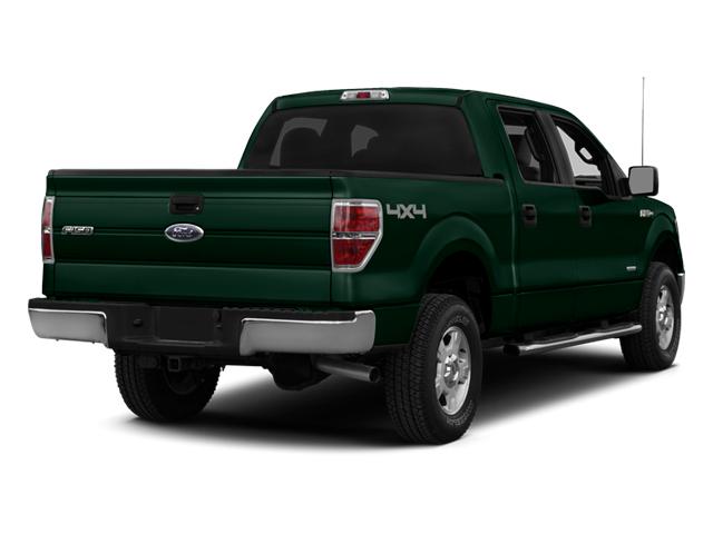 2014 Ford F-150 Vehicle Photo in Jacksonville, FL 32244