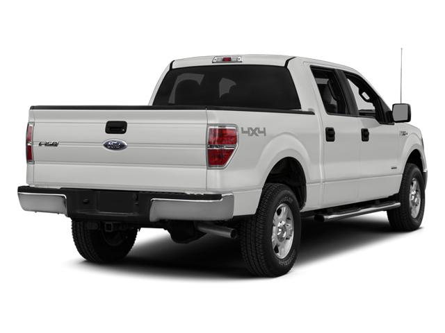 2014 Ford F-150 Vehicle Photo in St. Petersburg, FL 33713