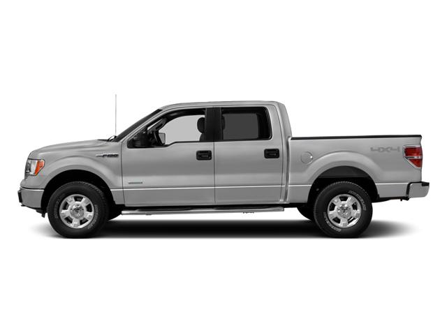 2014 Ford F-150 Vehicle Photo in Panama City, FL 32401