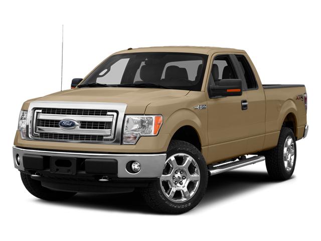 2014 Ford F-150 Vehicle Photo in Terrell, TX 75160