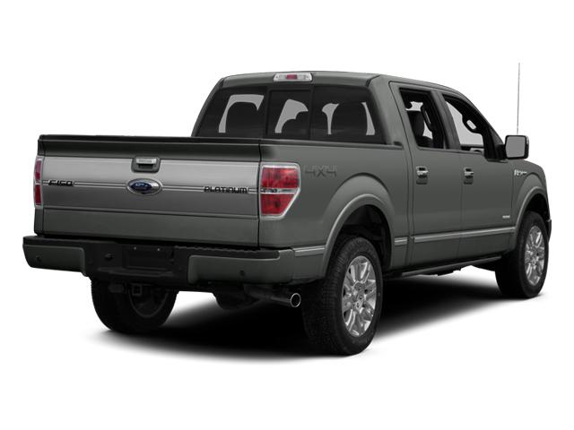 2014 Ford F-150 Vehicle Photo in Corpus Christi, TX 78415