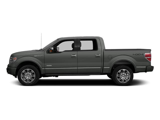 2014 Ford F-150 Vehicle Photo in Corpus Christi, TX 78415