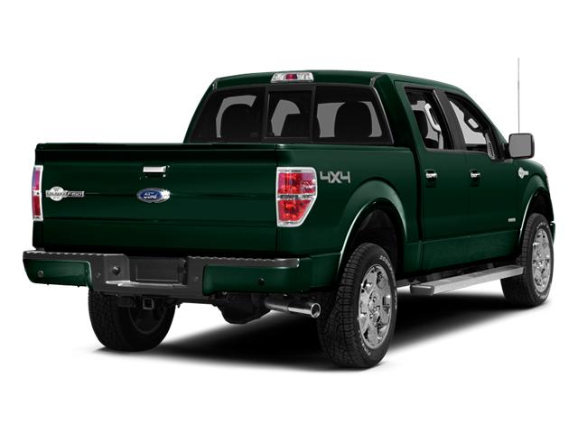 2014 Ford F-150 Vehicle Photo in STEPHENVILLE, TX 76401-3713