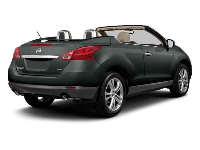 2014 Nissan Murano CrossCabriolet Vehicle Photo in St. Petersburg, FL 33713