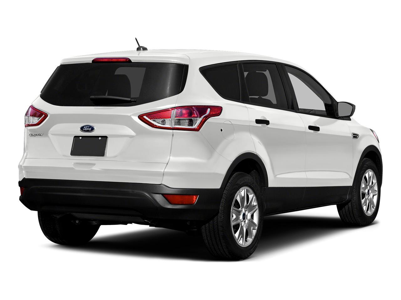 2015 Ford Escape Vehicle Photo in St. Petersburg, FL 33713