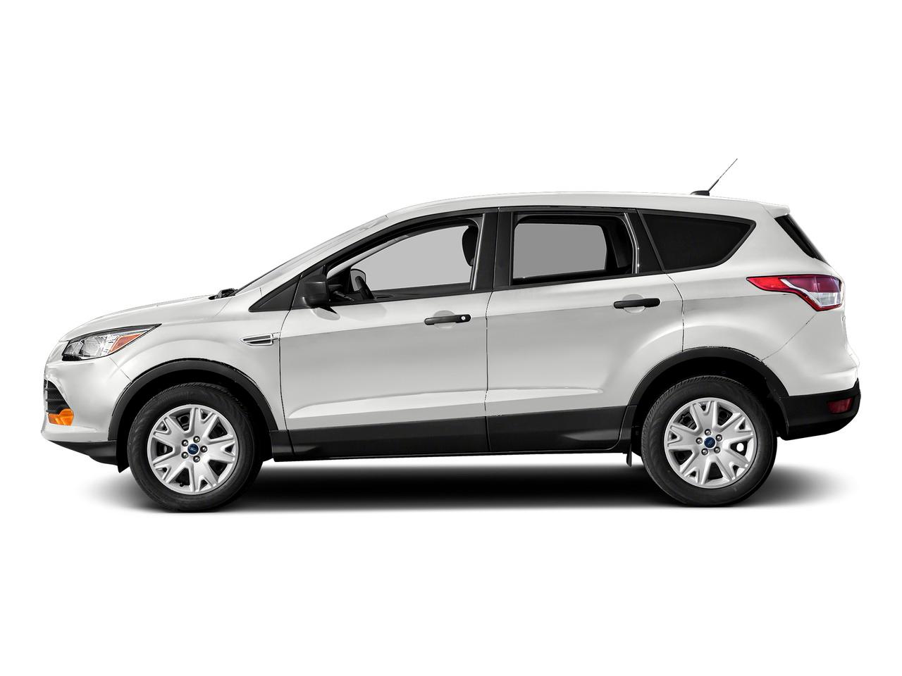 2015 Ford Escape Vehicle Photo in St. Petersburg, FL 33713