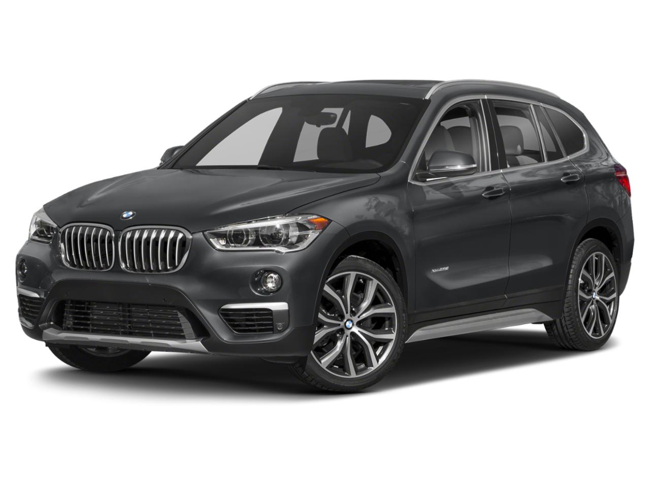 2018 BMW X1 xDrive28i Vehicle Photo in Delray Beach, FL 33444