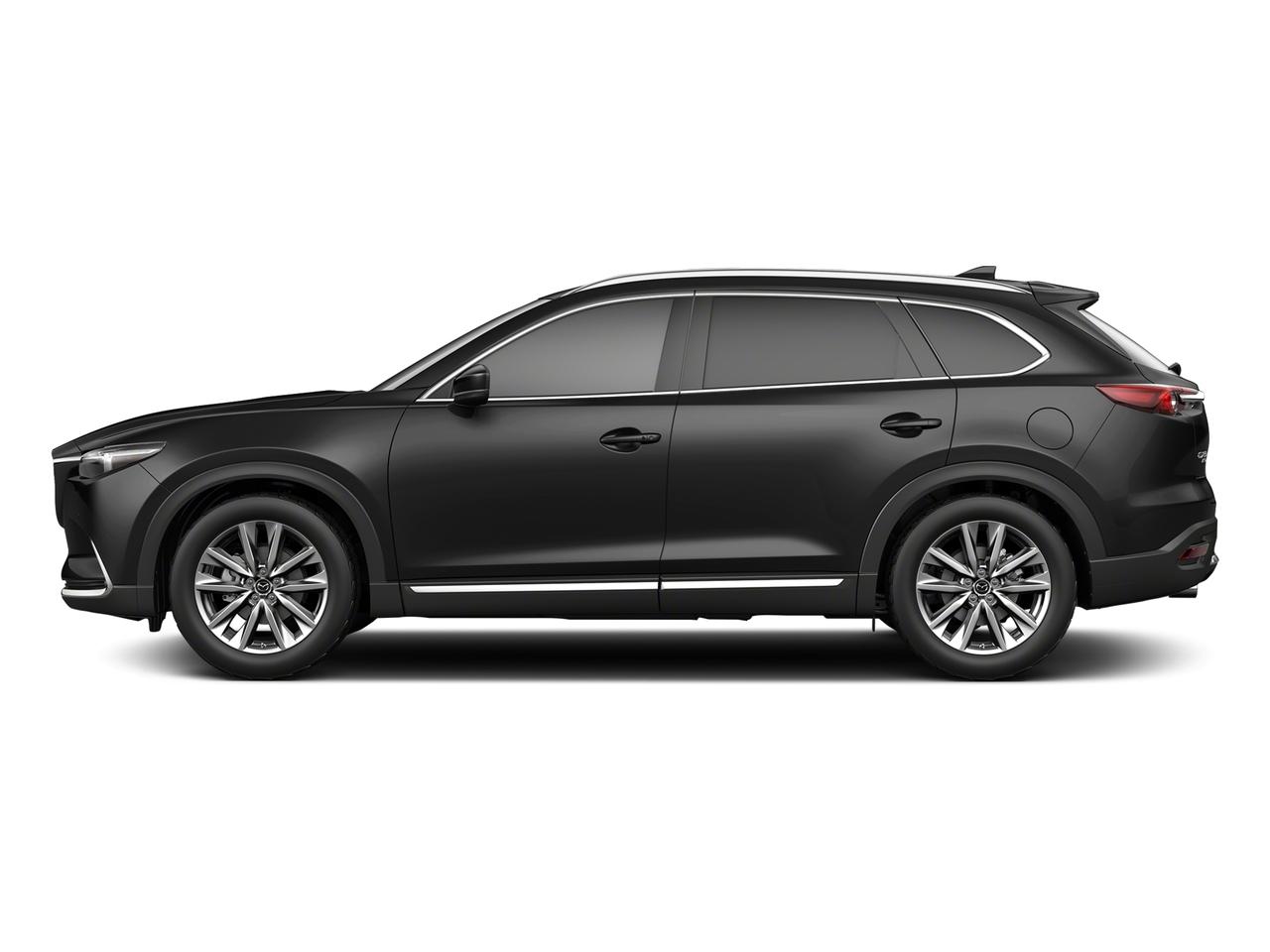 2018 Mazda CX-9 Vehicle Photo in Jacksonville, FL 32244