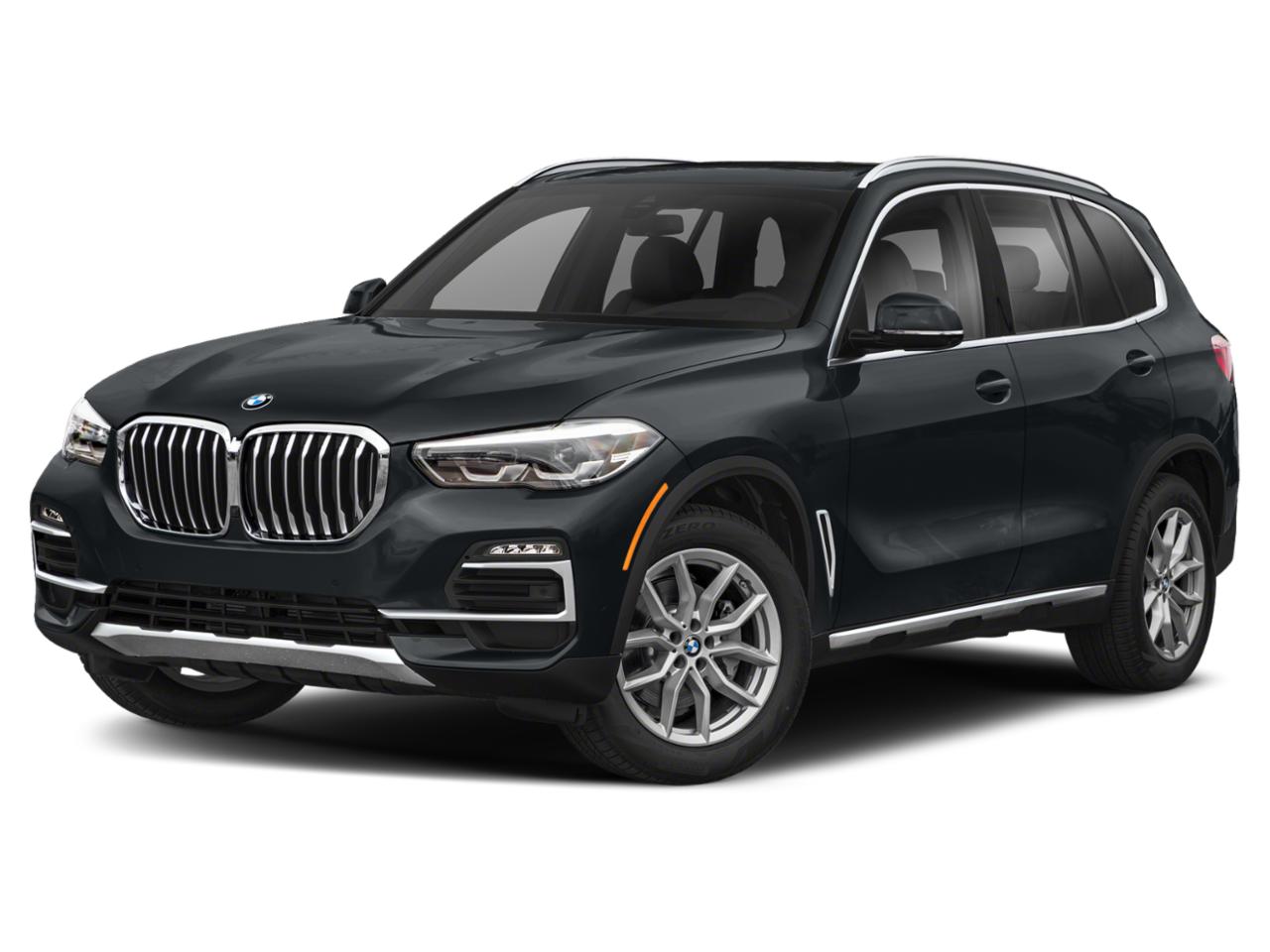 2019 BMW X5 xDrive50i Vehicle Photo in Appleton, WI 54913