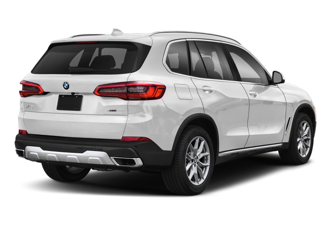 2019 BMW X5 xDrive40i Vehicle Photo in Rockville, MD 20852