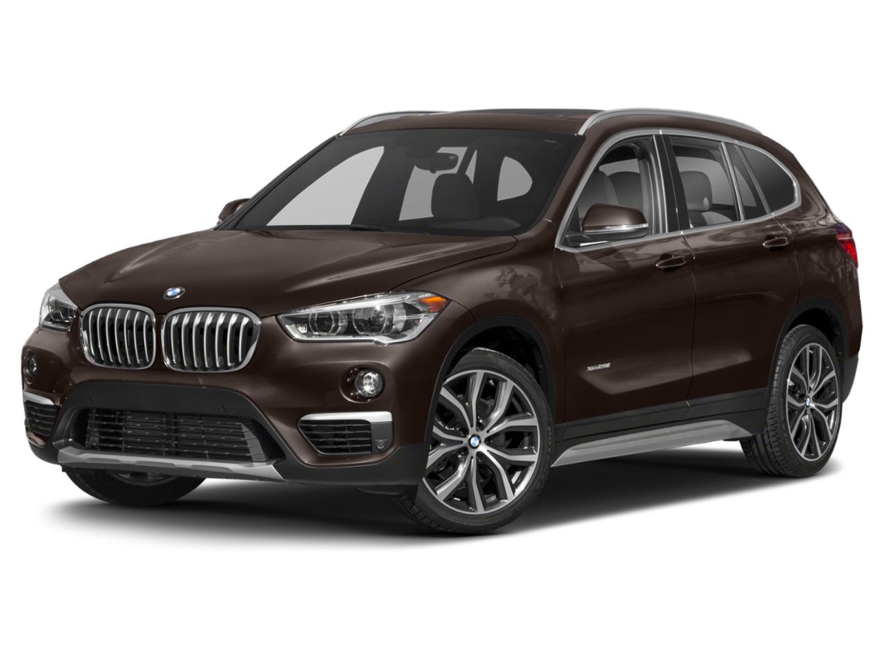 2019 BMW X1 xDrive28i Vehicle Photo in Fort Lauderdale, FL 33316