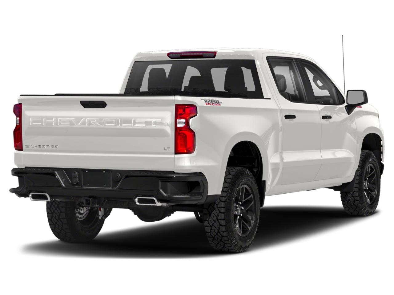 2019 Chevrolet Silverado 1500 Vehicle Photo in SELMA, TX 78154-1460