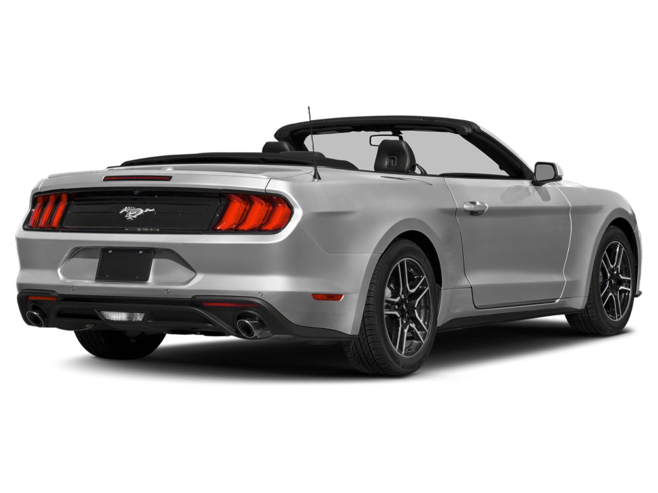 2019 Ford Mustang Vehicle Photo in Brooksville, FL 34601