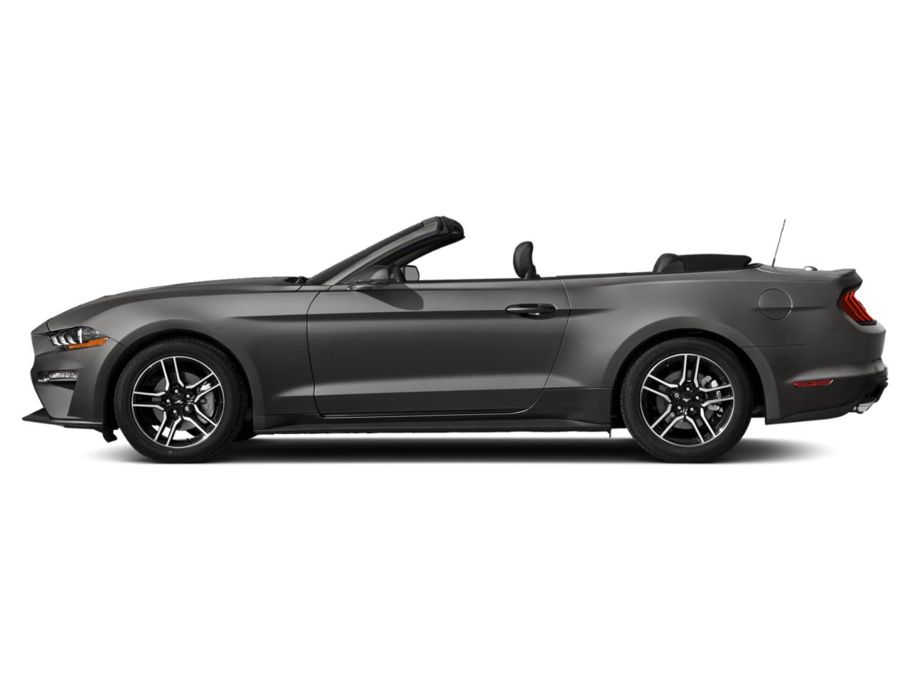 2019 Ford Mustang Vehicle Photo in Ft. Myers, FL 33907