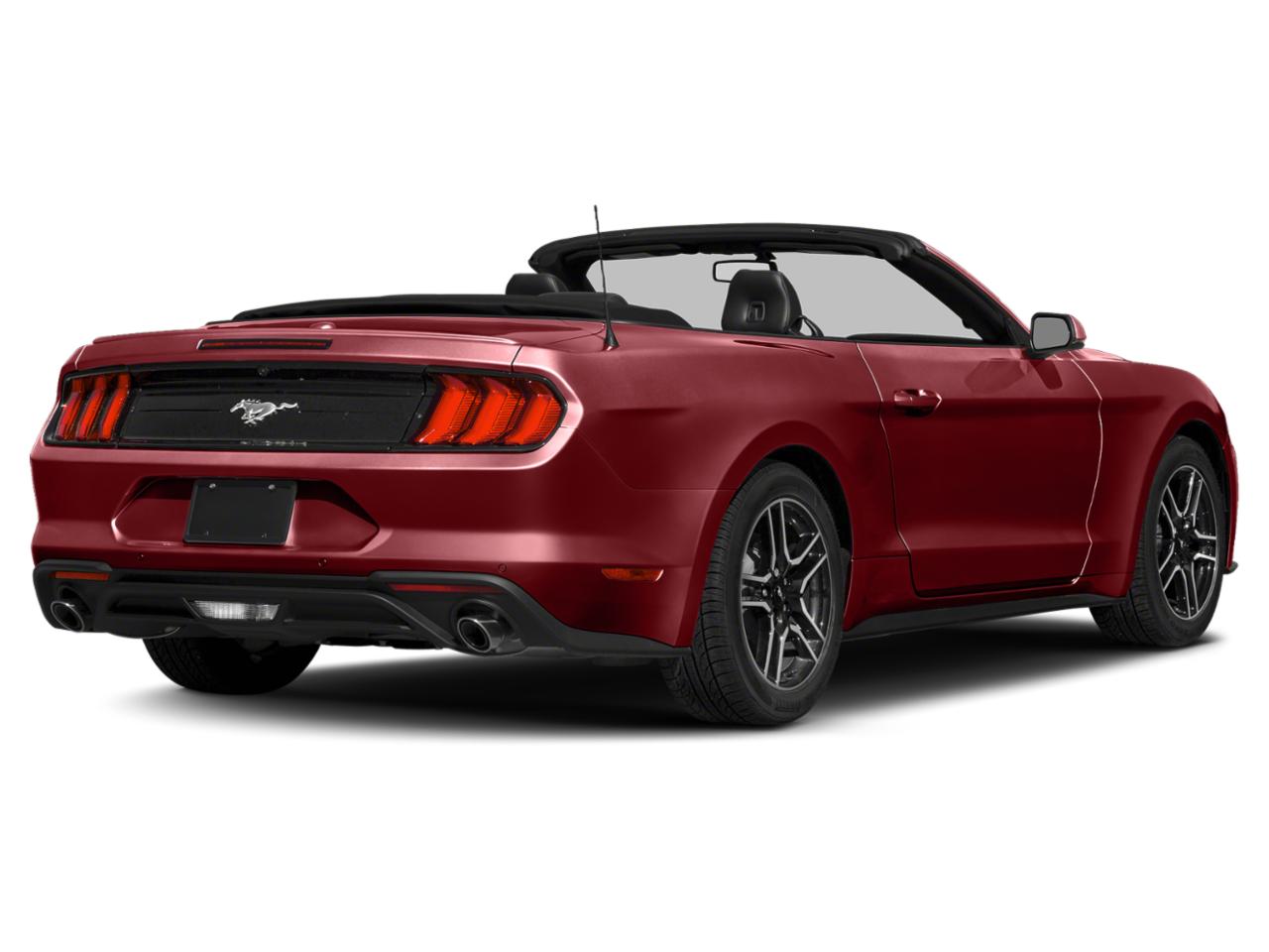 2019 Ford Mustang Vehicle Photo in Sanford, FL 32771