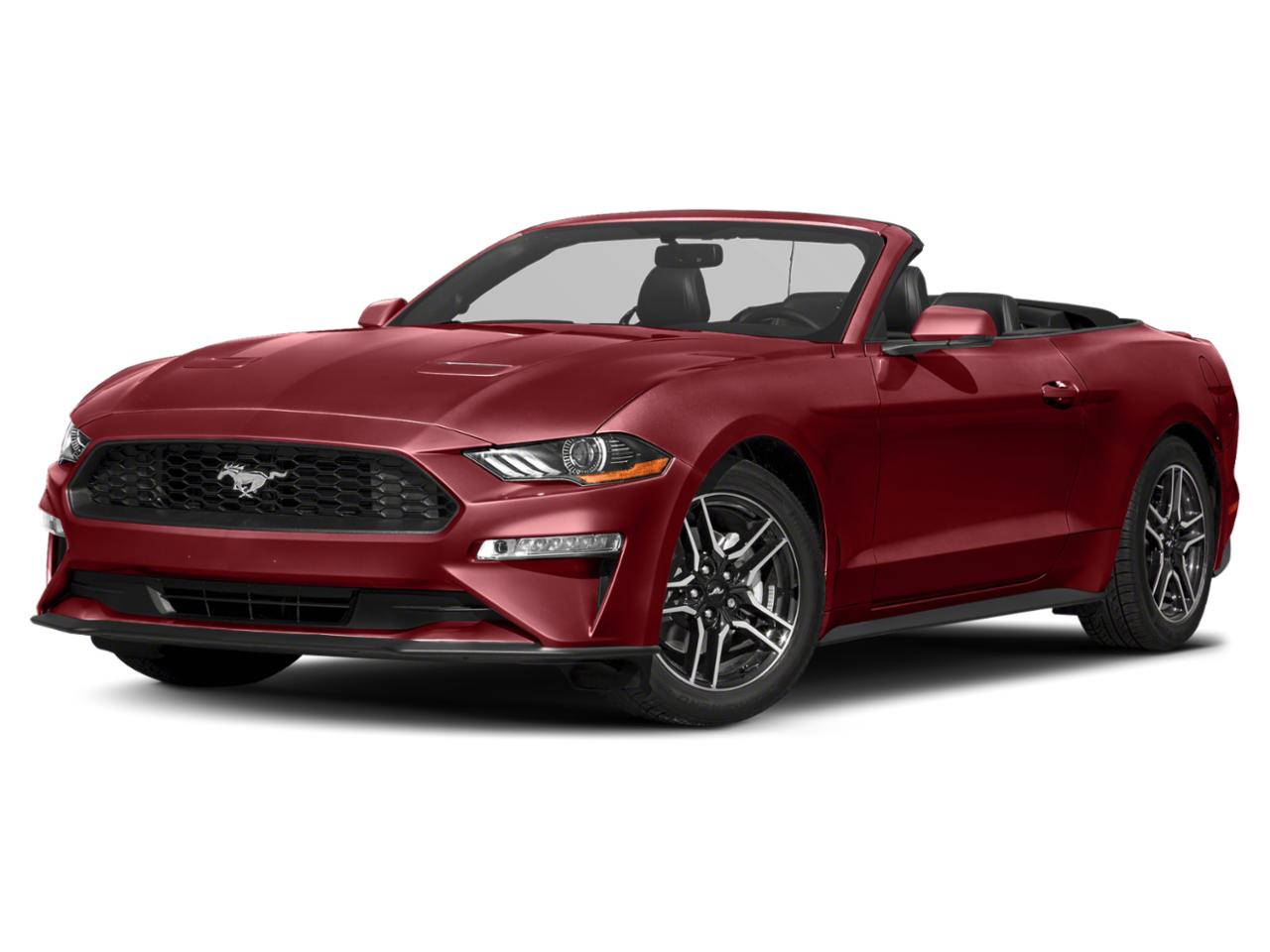 2019 Ford Mustang Vehicle Photo in Sanford, FL 32771