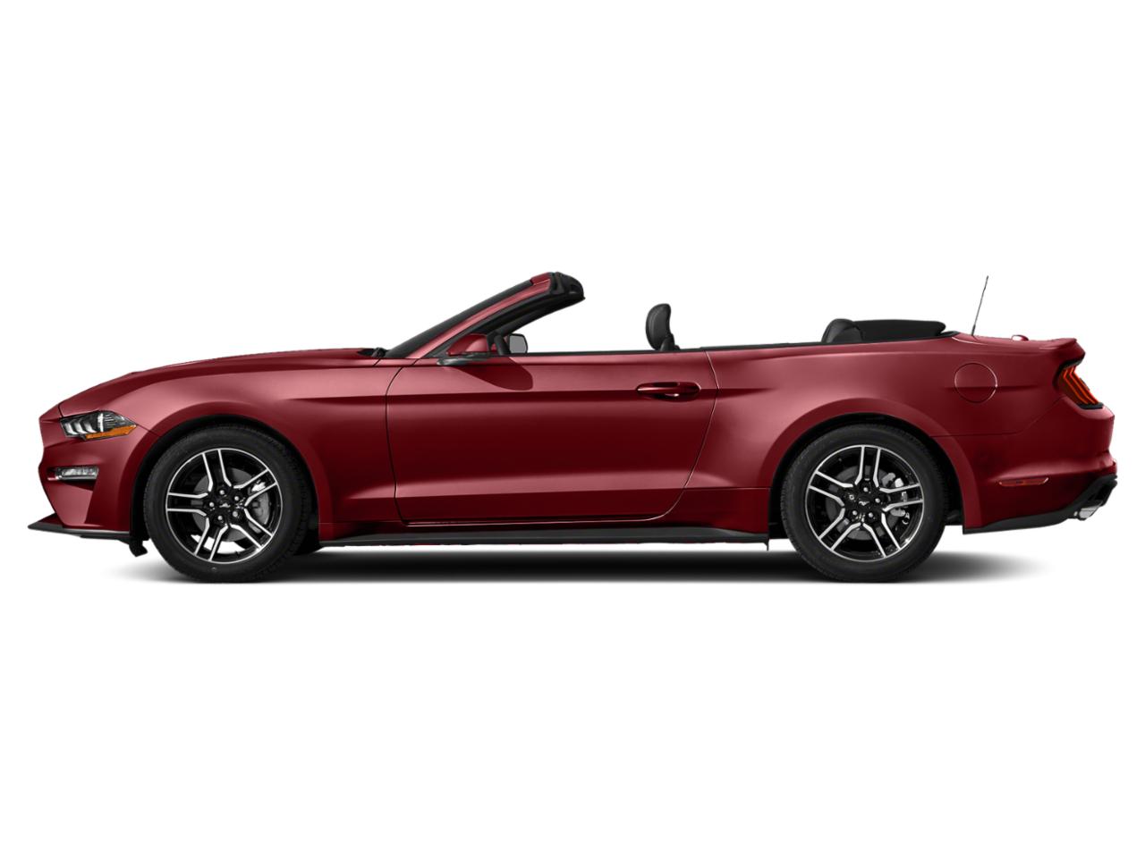 2019 Ford Mustang Vehicle Photo in Sanford, FL 32771