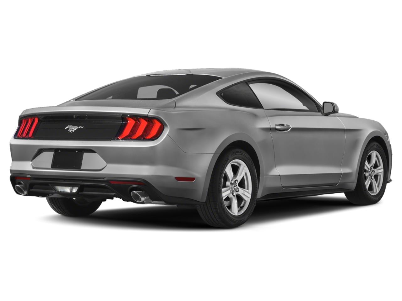 2019 Ford Mustang Vehicle Photo in Memphis, TN 38115