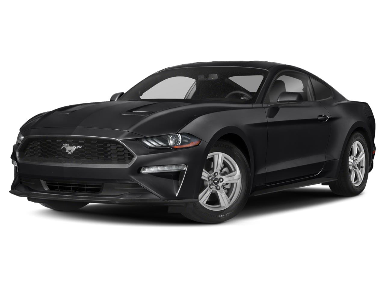 2019 Ford Mustang Vehicle Photo in Terrell, TX 75160