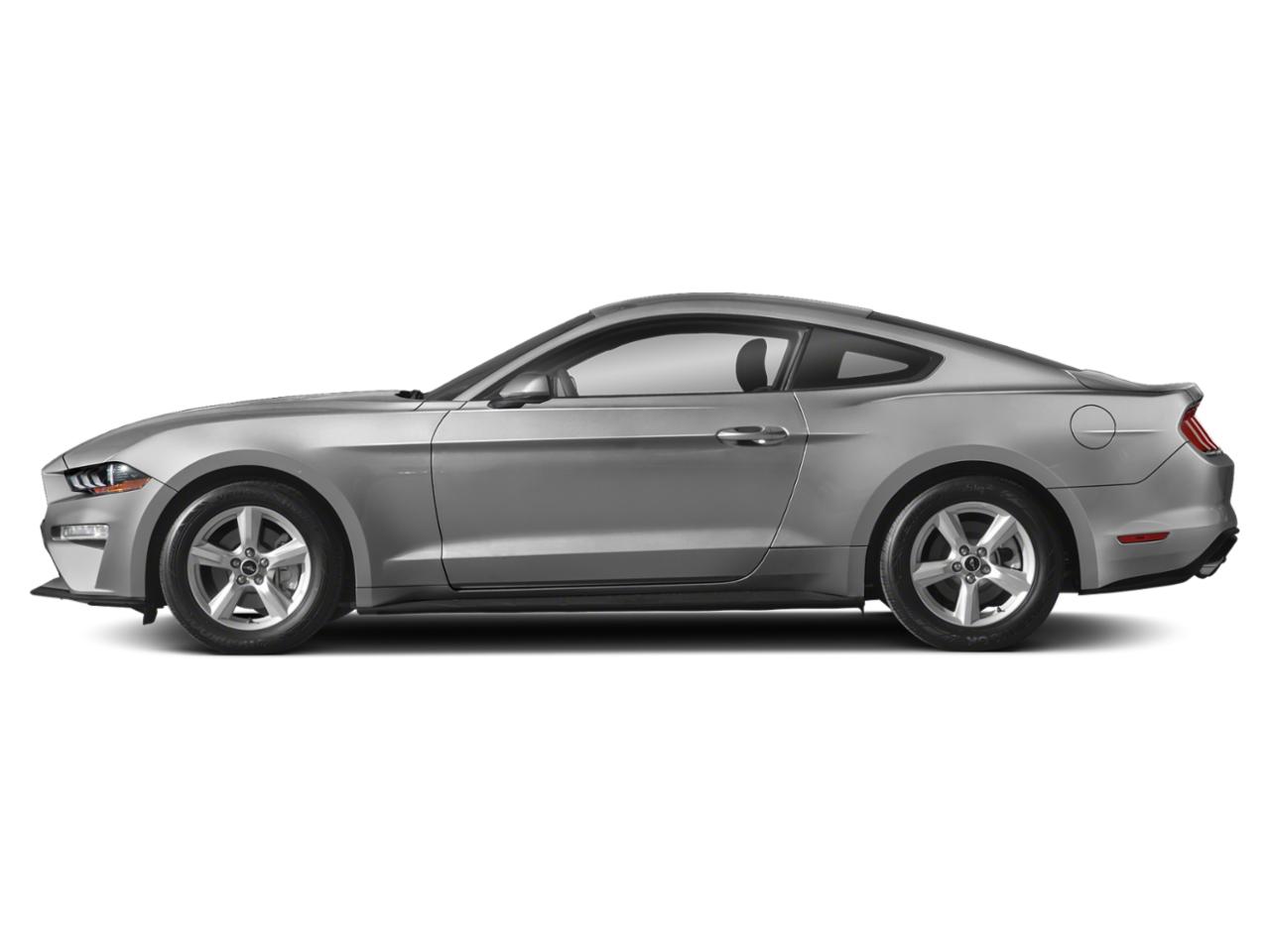 2019 Ford Mustang Vehicle Photo in Memphis, TN 38115