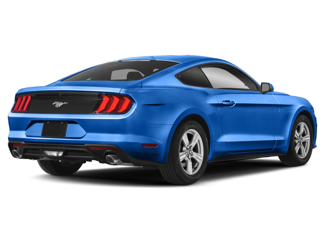 2019 Ford Mustang Vehicle Photo in MONROE, NC 28110-8431