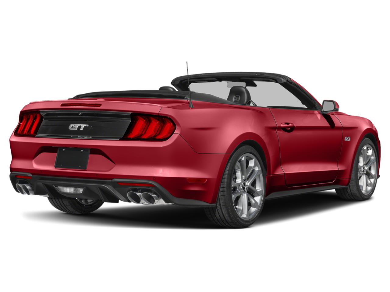 2019 Ford Mustang Vehicle Photo in Davie, FL 33331