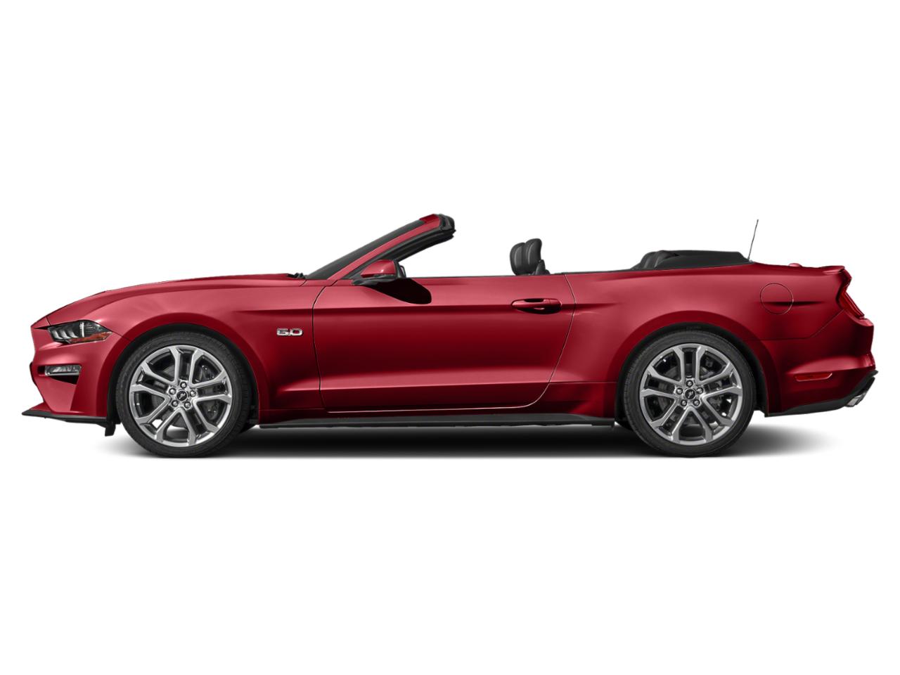 2019 Ford Mustang Vehicle Photo in Davie, FL 33331