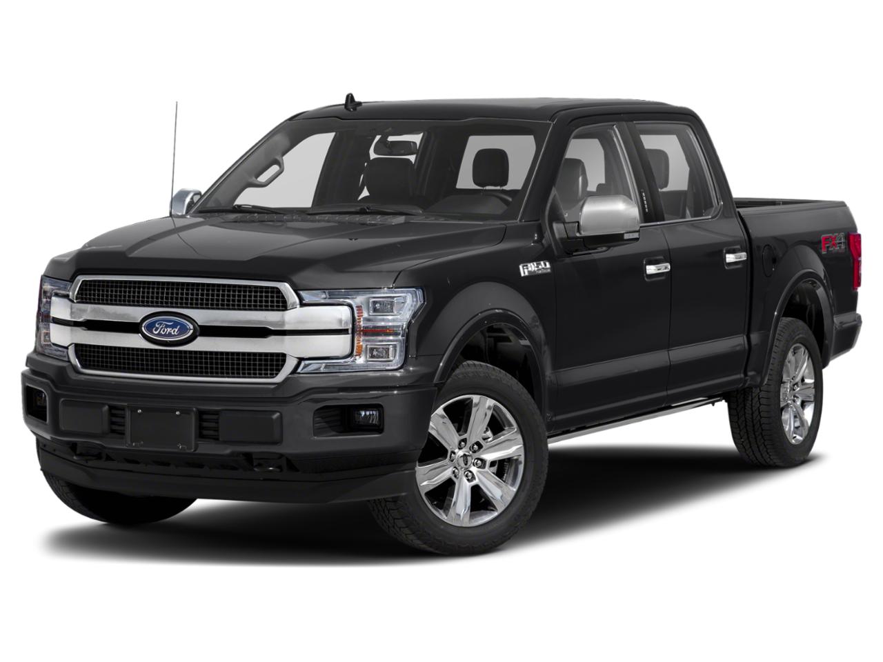 2019 Ford F-150 Vehicle Photo in St. Petersburg, FL 33713