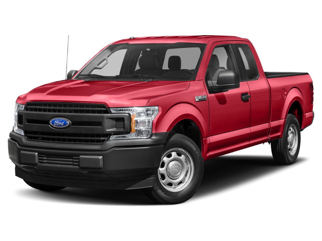 2019 Ford F-150 Vehicle Photo in St. Petersburg, FL 33713